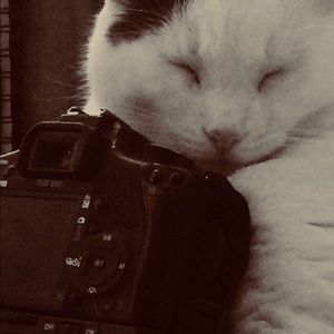 Meet your Posher, Charles